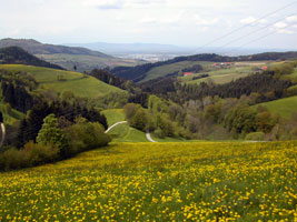 Zähringerhof